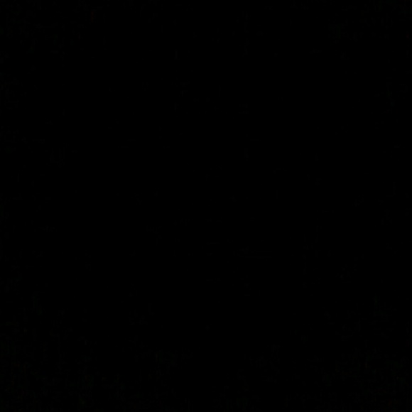 Meet your Posher, Jasmine - Picture 1 of 1